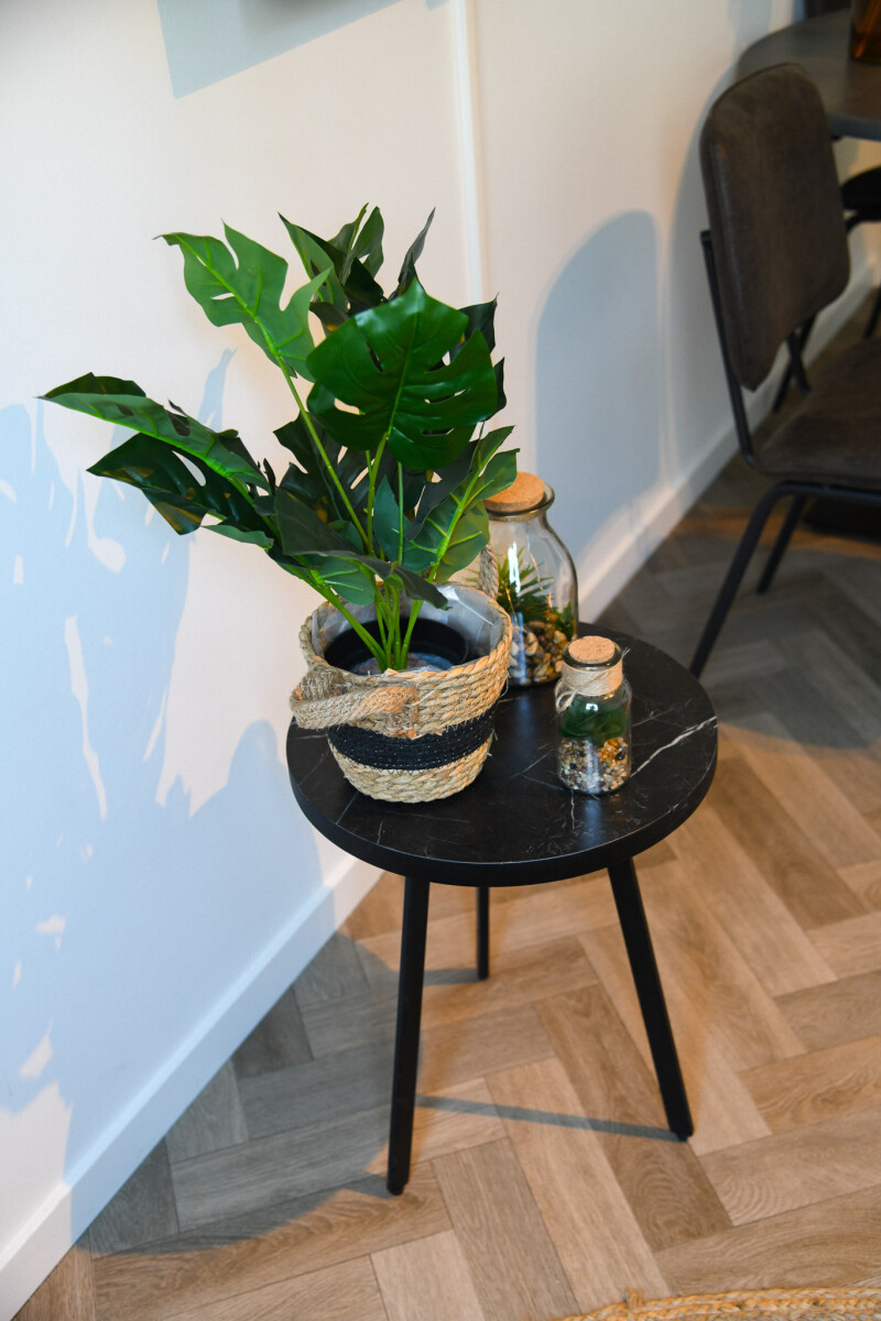 TheStayy-Fotoshoot-30.jpg