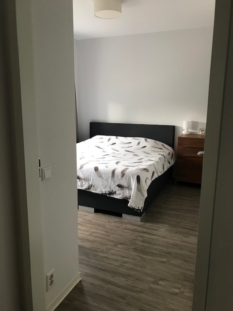 image5 (Small).jpeg